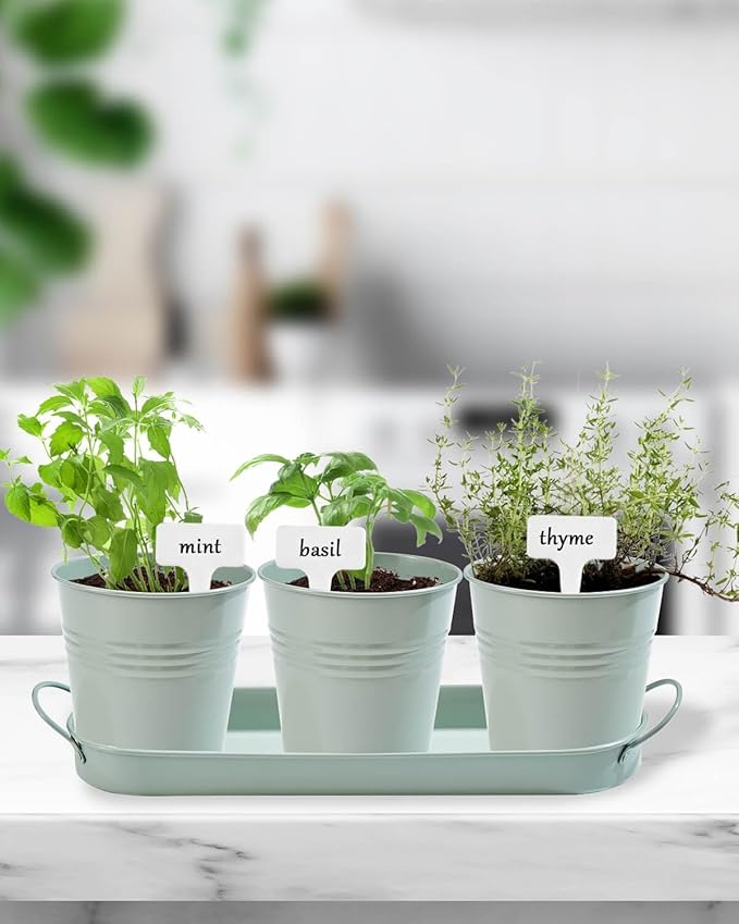vensovo Indoor Herb Planter Set - Galvanized Windowsill Garden Pots with Tray & Drainage, Set of 3 Metal Window Planters for Kitchen & Outdoor Use, Light Green
