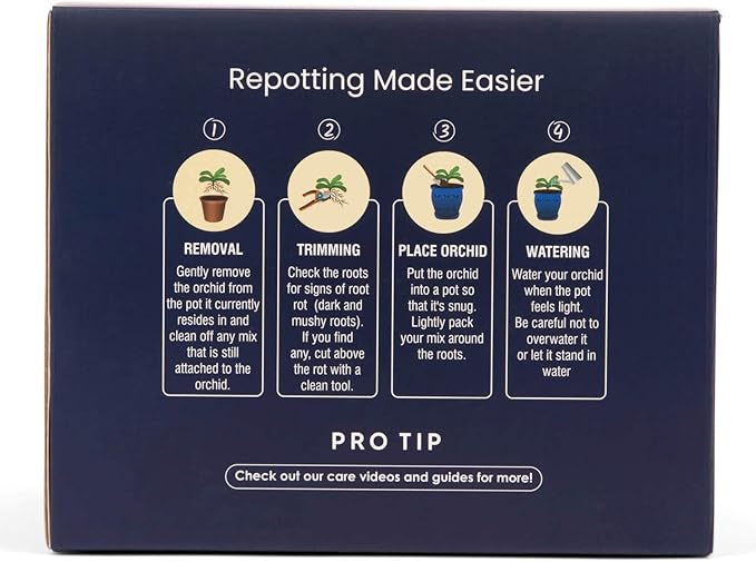 rePotme 6" Pinwheel Fluted Ceramic Plant Pot (Honey Cream Over Coffee) - - Includes Free 6 inch Slotted Pot Liner - Great for Orchids, Succulents, and All Indoor Plants