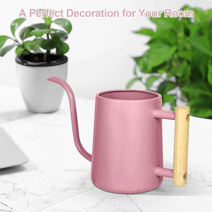 Watering Can Indoor Plants, 35 oz/1000 ml Metal Stainless Steel Watering Can Pot with Long Spout for Indoor House Plants Bonsai Outdoor Garden Flower Decorative (Pink)