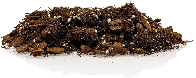 Premium Gardenera House Plant Potting Mix | Fern + New Zealand Bark + Perlite | Great for Pothos, Spider Plants, Montsera, Philodendron, English Ivy - 3 Quart Bag