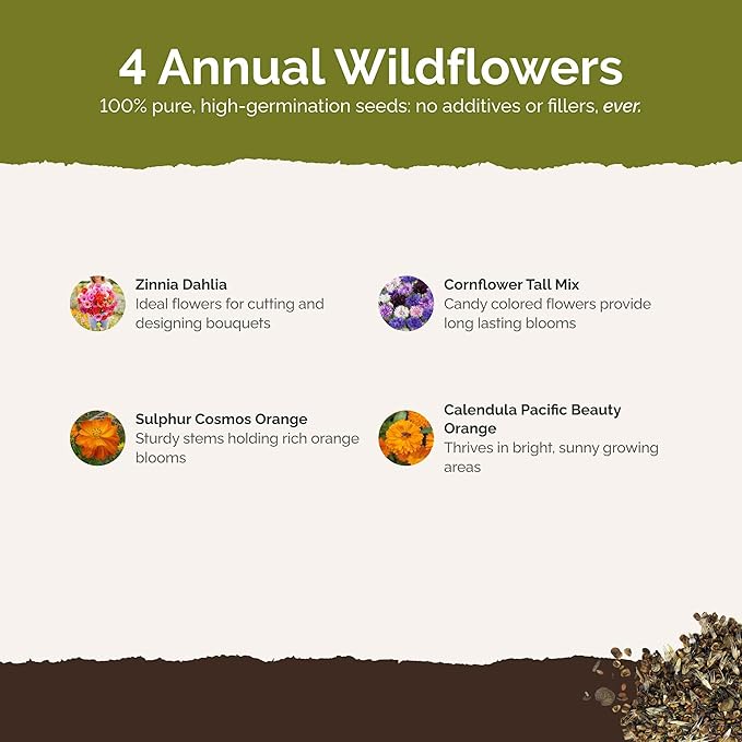 Eden Brothers Jellybean Flower Mixed Seeds for Planting, 1/4 lb, 120,000+ Seeds with Zinnia, Cornflower, Cosmos, Calendula, Attracts Pollinators, Plant in Spring or Fall, Zones 3, 4, 5, 6, 7, 8, 9, 10