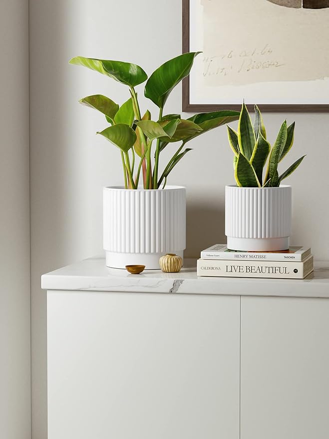 LE TAUCI Ceramic Pots for Plants, 8+6.7+5.5 Inch Plant Pots Indoor, Flower Pot with Drainage Holes, Medium Cylinder Planters for Indoor House Plants, Set of 3, White