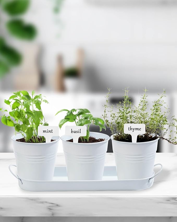 vensovo Indoor Herb Planter Set - Galvanized Windowsill Garden Pots with Tray & Drainage, Set of 3 Metal Window Planters for Kitchen & Outdoor Use, White