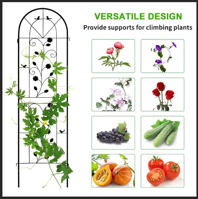 LZRS 4 Pack Rustic Iron Arch Decoration Garden Trellis with Black Metal Coating – Perfect for Supporting Climbing Plants Outdoor, Roses, Vines, Flowers, and Vegetables.