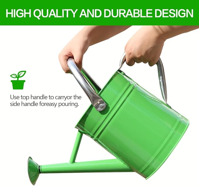 Metal Watering Can, One Gallon Watering Cans Stainless Steel for Outdoor Indoor Garden Plants Watering (Stainless Steel Handle Green)