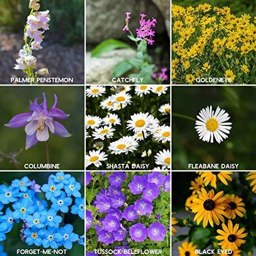 Rocky Mountain Wildflower Seeds Mix - 4 oz Seed Pouch - 22 Wild Flower Seed Varieties - Annuals, Perennials and Bi-Annuals - Flower Garden