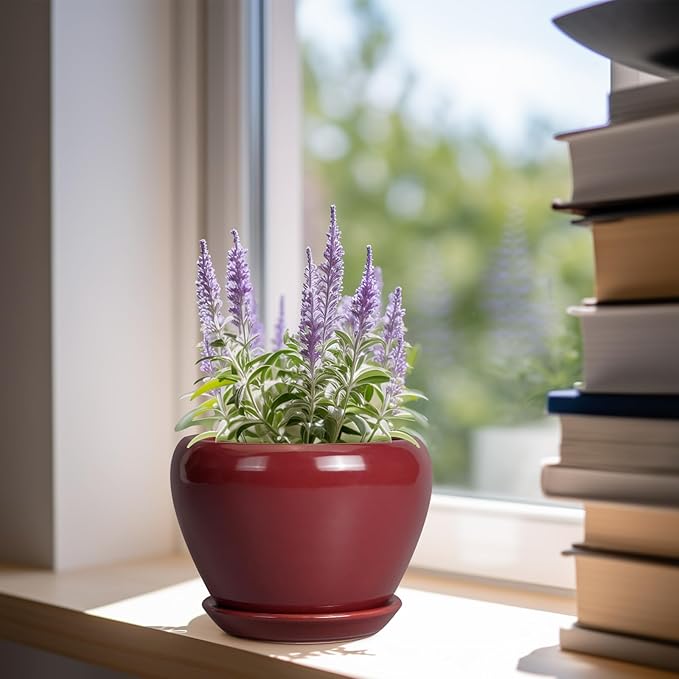 Ceramic Pot for Plants - 6 Inch Plant Pot Indoor with Drainage Hole and Saucer Succulent Pot Outdoor Planter Round Flower Pot for House Patio Decor Red