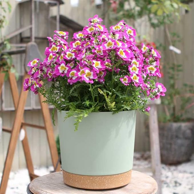 ZMTECH Plant Pots, Set of 3 8'' Self Watering Plastic Planter with Drainage Hole and Saucer, Modern Decorative Flower Pot for Indoor Outdoor House Plants, Succulents, Flowers - Green