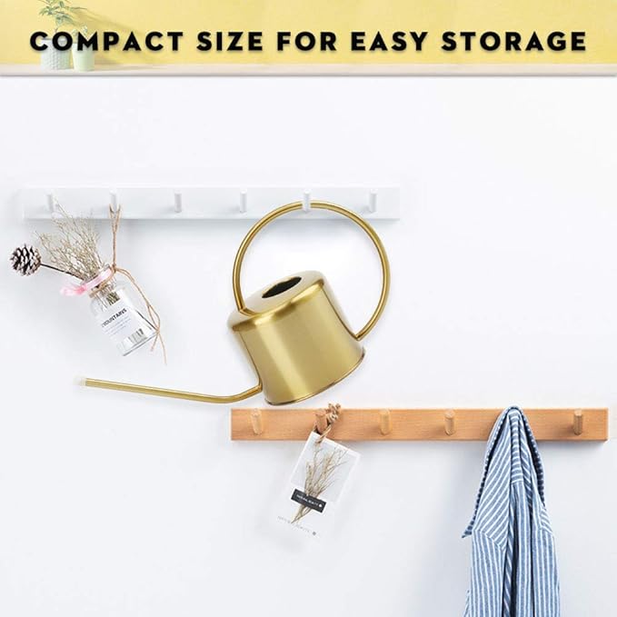 Remiawy Watering Can Indoor Outdoor Stainless Steel Watering Cans for House Plants Long Spout Water Can for Succulent Bonsai Garden Flower(40oz/1300ml)