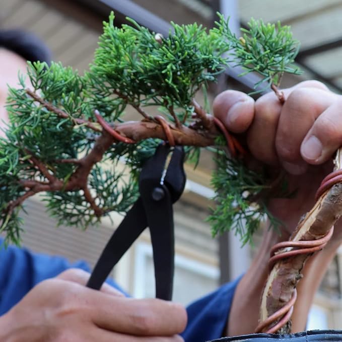 Wazakura Hanafubuki Hand Forged Bonsai Pliers MADE IN JAPAN 8.25inch(210mm), Bonsai Training Wire Plier, Japanese Garden Tool- Black