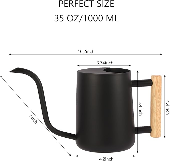Plant Watering Can,35oz Metal Watering Can,Stainless Steel Watering Can Indoor Plants with Long Curved Spout,Small Watering Can for Indoor Plants,Bonsai Outdoor Garden Modern Decorative(Black)