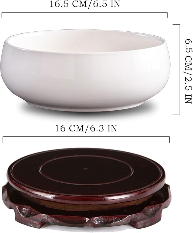 Lotus Bowl Planter, Lotus Bowls for Planting in Water Indoors,6.5-inch Round Succulent Flower Pot with Rotating Bracket, Leak-Proof Design, Suitable for hydroponic Plants, Succulents (White)