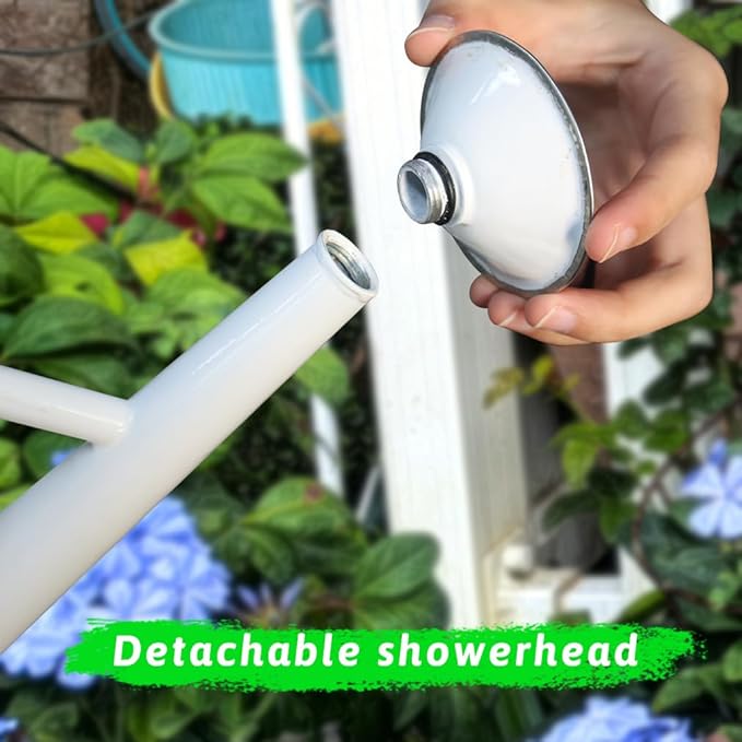 Metal Watering Can for Outdoor and Indoor Plants, Watering Can Decor, 1 Gallon (Virgo)