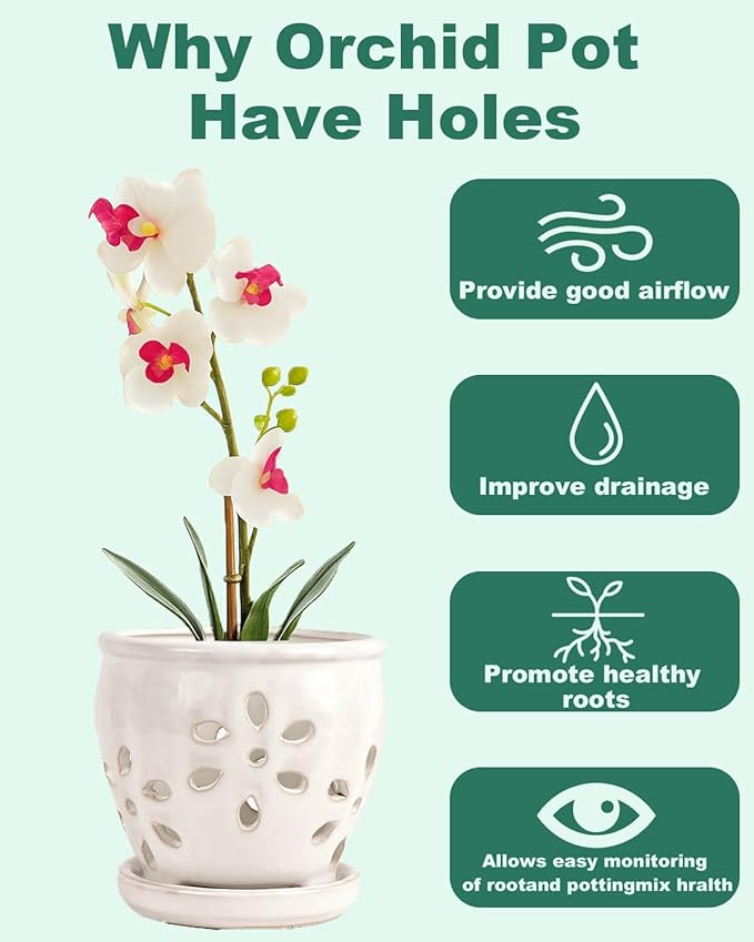vensovo 5 Inch Ceramic Orchid Pots with Holes and Saucers - 1 Pcs Small Succulent Pot for Repotting, Garden Flowerpots for Plants Indoor and Outdoor Promotes Air Circulation, White