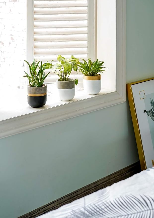 Dahey 3 Pack Small Cement Succulent Planter Pots 4 Inch Modern Mini Concrete Flower Pots Indoor Outdoor for Cactus Herb or Small Plants Home Decor