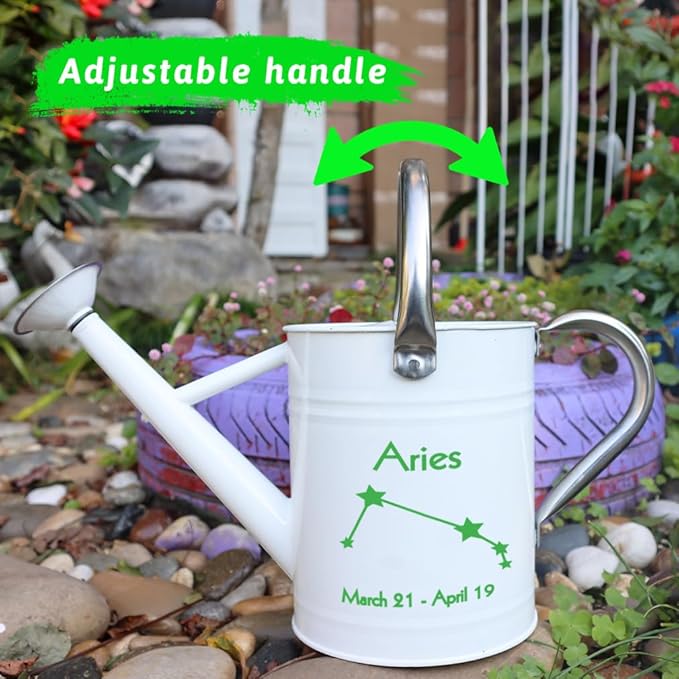 Metal Watering Can for Outdoor and Indoor Plants, Watering Can Decor, 1 Gallon (Aries)