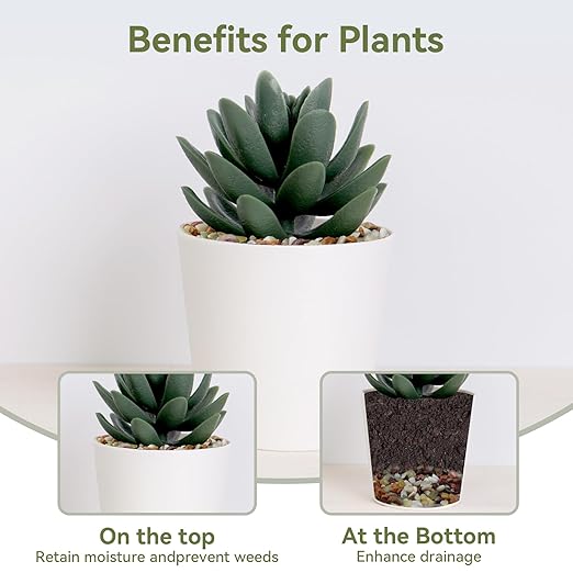 10 lbs Pebbles for Indoor Plants, Succulent Rocks, 3/8" Polished Pebbles for Bamboo, Vase, Terrarium, Natural Decorative Small River Rocks for Crafts, Cactus, Outdoor Garden Landscaping