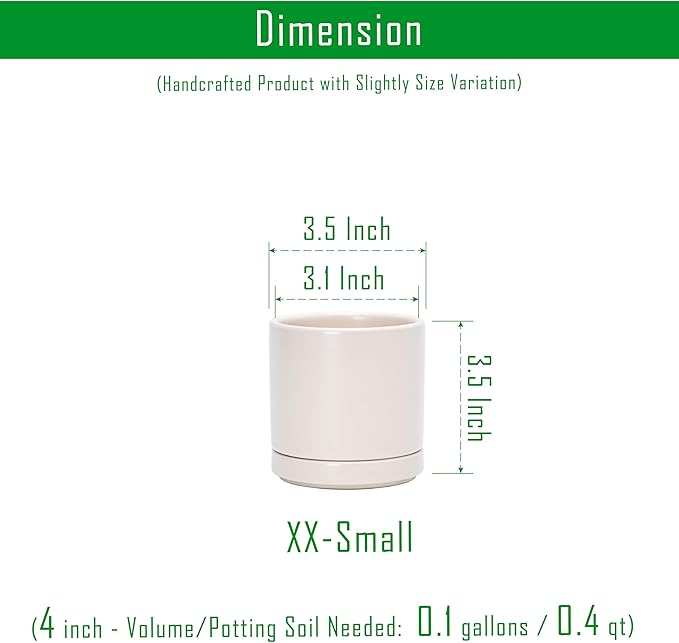 D'vine Dev Set of 2 Plants Pots, 3.5 Inch Ceramic Planter Pot for Plants with Drainage Hole and Saucer, Oatmeal, 94-V-A-8