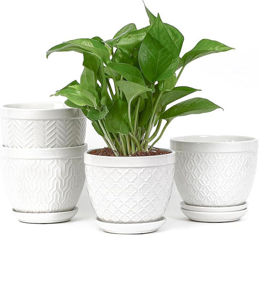 Sureasy Ceramic Indoor Plant Pots - 5.6 Inch Flower Pots for Plants with Drainage Hole and Saucer, Embossed Planter for Succulents, Orchid, Cactus, Indoor Home Decor, Set of 4, White