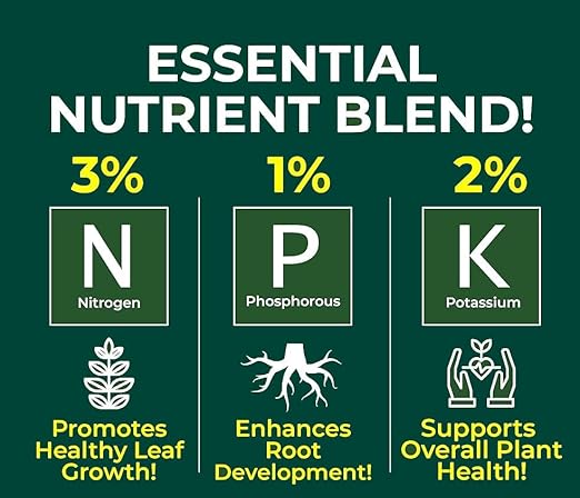 Premium Liquid Spider Plant Fertilizer - 3-1-2 Concentrate for Indoor Plants and Flowers by Gardenera | Organic Plant Food for Spider Plants - 32oz