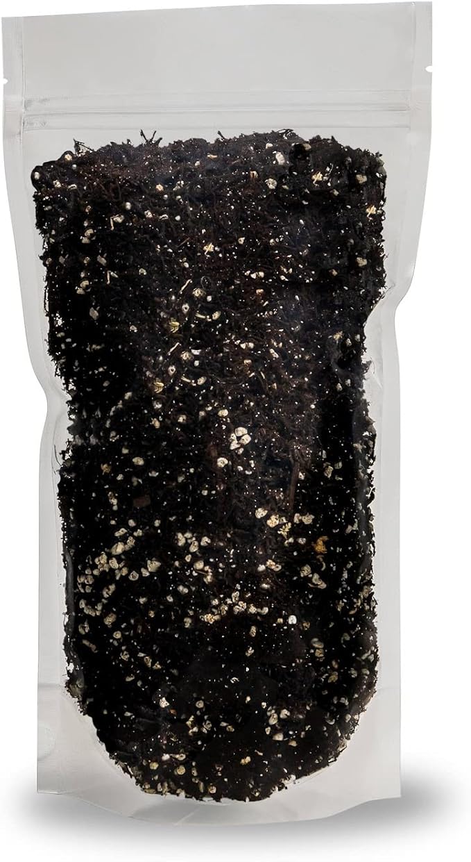 Fern + Perlite Soil Mix for Repotting and Planting Succulents and Cactuses - 4 Quart Bag