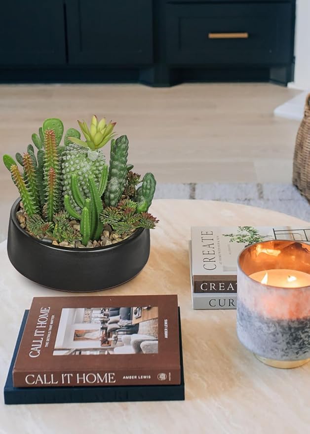 DILATATA Artificial Cactus Plants in Pot 5.5 Inch Fake Succulents Arrangement Potted Plant in Black Ceramic Planter Bowl for Home Office Desk Shelf Living Room Bedroom Bathroom Decor