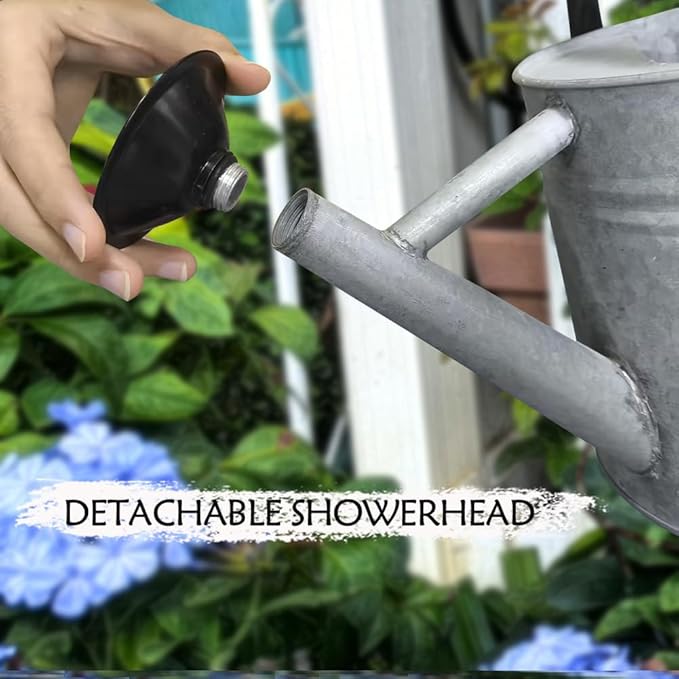 Metal Watering Can, One Gallon Watering Cans Stainless Steel for Outdoor Indoor Garden Plants Watering (Silver 1 Gallon)