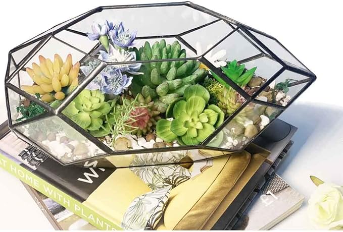 Ferrisland Handmade 10" Large Glass Terrarium Irregular Geometric Planter Indoor Air Plants Holder Window Balcony Display Succulent Flower Pot, Black