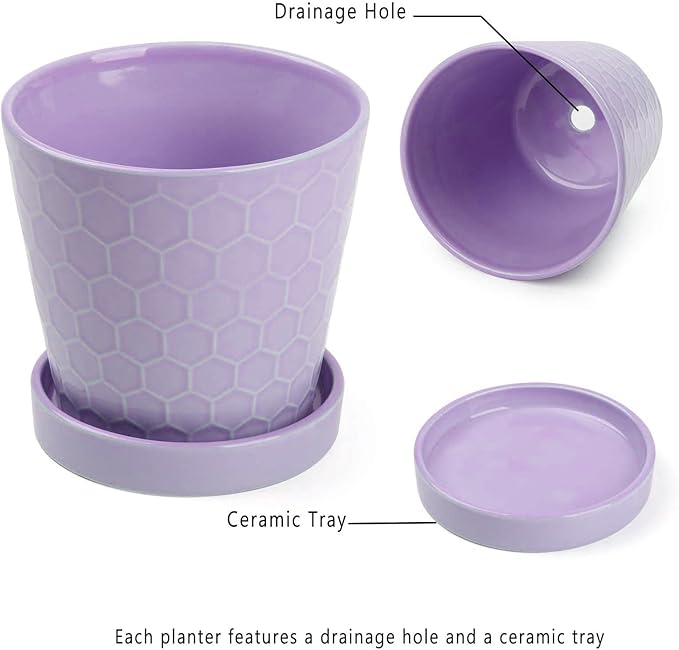 Plant Pots Indoor –5 in Ceramic Flower Pot with Drainage Hole and Ceramic Tray - Gardening Home Desktop Office Windowsill Decoration Gift, Set of 4 - Plants Not Included(Purple)