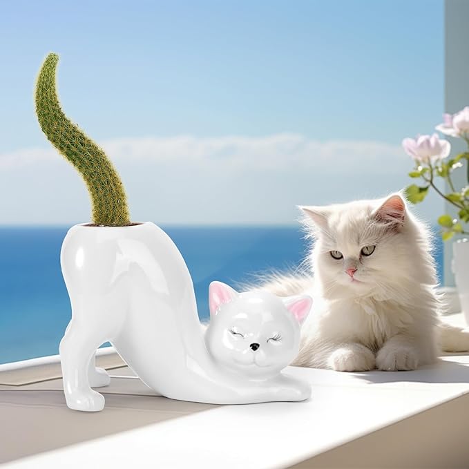 TOIVO Unique Cat Planter Pot，Indoor and Outdoor Plant Displays，Funny Ceramics Cat Flower Pot，Cat Gifts for Cat Lovers，Lovely Office Desk Room Home Decor (White, Small)