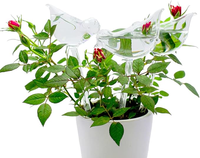 Glass Plant Watering Globes, Self Watering Globes Bird Shape, Self Watering Planter Insert, Plant Watering Devices, Automatic Plant Waterer Indoor, Watering Bulbs, 3 Pack