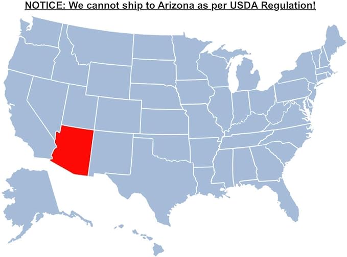 Brighter Blooms - Thuja Green Giant, 1-2 Feet - Live Plant - No Shipping to AK, AZ, HI, OR