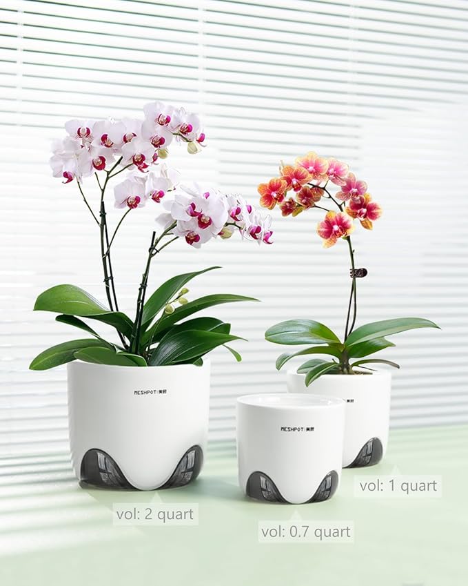 6 inch Orchid Pots with Holes for Repotting with Excellent Airflow, Set of 1, Double Layer Plastic Imitate Ceramic Orchid Planter, Clear Orchid Pot Match Decorative Orchid Container