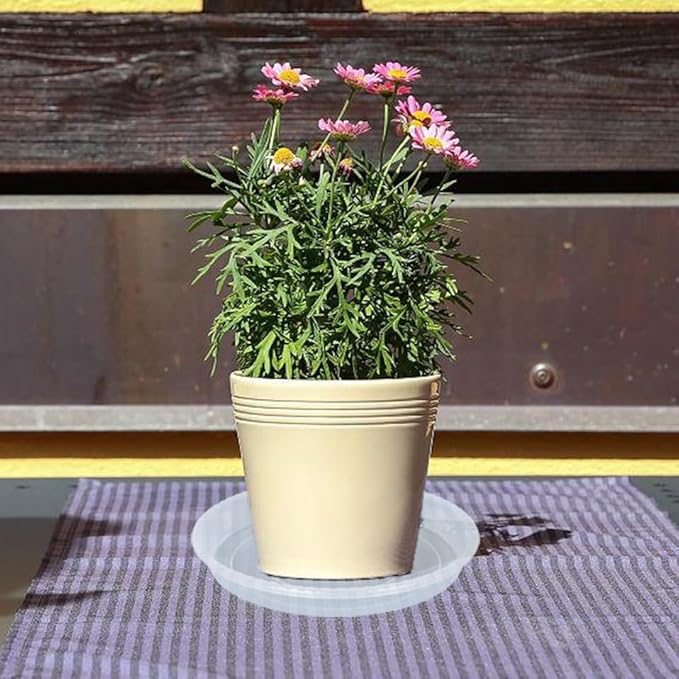 Plant Saucer 6 Pack of 8 inch, Clear Plastic Flower Plant Pot Saucer, Heavy Duty Plant Drip Trays Saucers for Indoor, Plant Water Tray for Planters