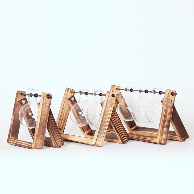 Kingbuy Glass Desktop Planter with Retro Wooden Stand and Plant Terrarium vase (2 Bulbs) for Indoor Office Desk Decor Accessories