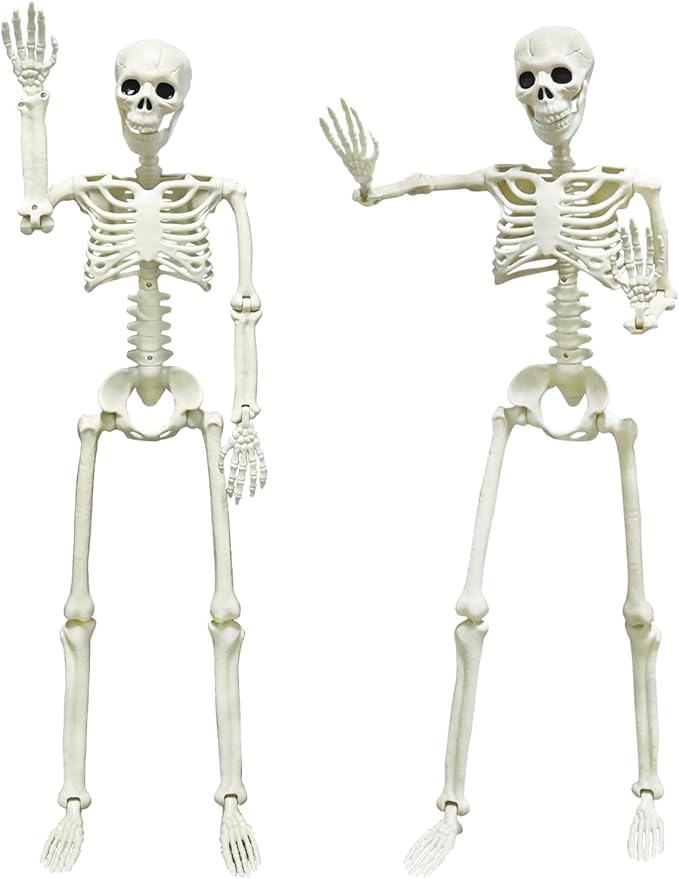 CAMIRUS 2PACK Plastic Posable Halloween Skeleton Decorations, 3FT Poseable Skeleton Full Body with Movable Joints for Halloween Indoor/Outdoor Haunted Houses, Lawn, Graveyard Decor