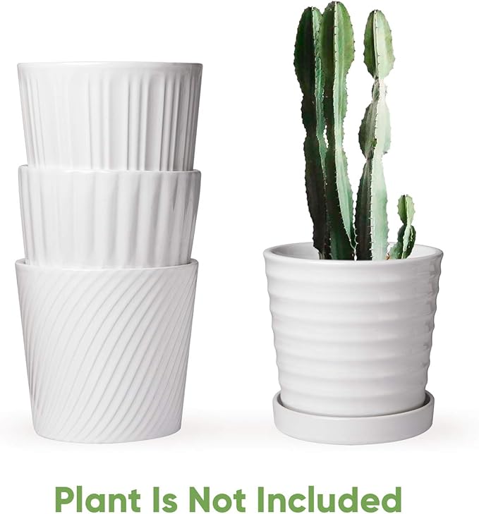 Brajttt Flower Pots,6 Inch Succulent Pots with Drinage,Indoor Round Planter Pots with Saucer,White Cactus Planters with Hole,Outdoor Graden Pots 4 Pack