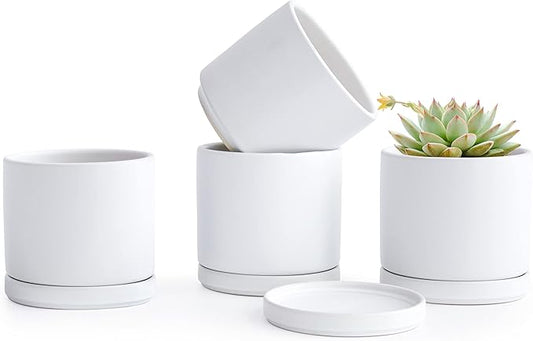 D'vine Dev Set of 4 Small Ceramic Plant Pots, 4.6 Inch Succulent Planter Pot for Plants with Drainage Hole and Saucer, White, 94-X-B-1