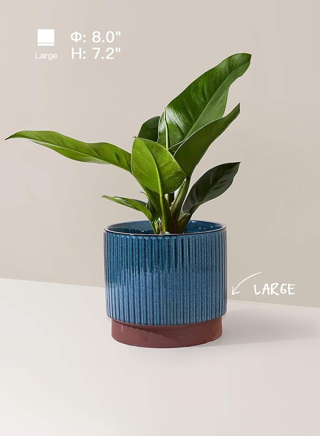 LE TAUCI Ceramic Plant Pots with Drainage Holes, Set of 3, 8+6.7+5.5 Inch Stripe Garden Planter Pots for Outdoor Indoor Plants Flower, Round Succulent Orchid Flower Pot Small to Large Size, Blue