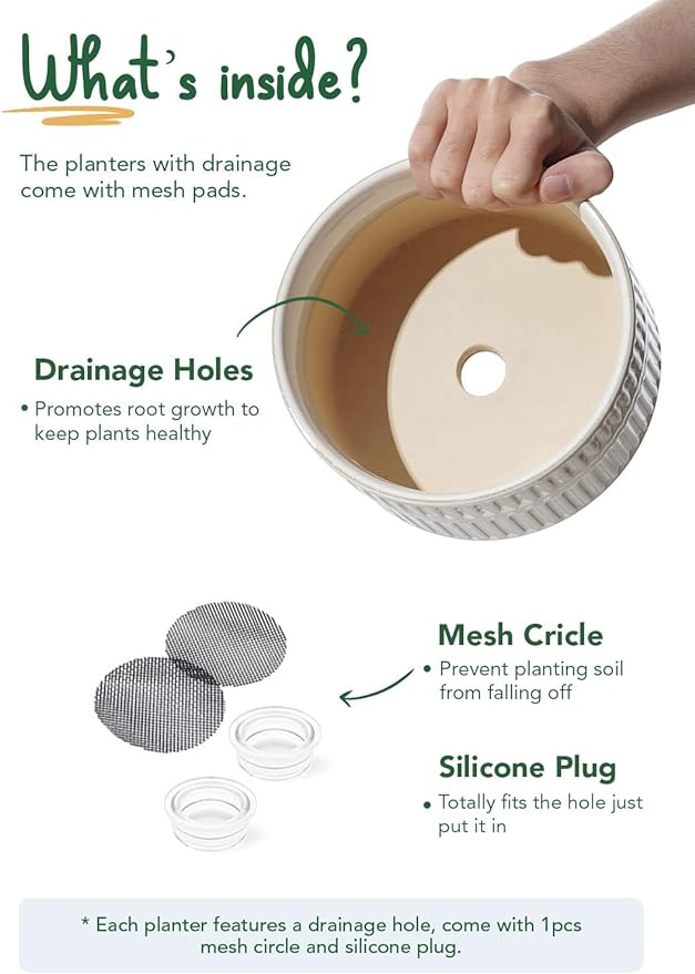 LE TAUCI Succulent Pots, 6.5+8 Inch Ceramic Indoor Plant Pot with Drainage Hole, Modern Round Decorative Flower Pot, Set of 2, Reactive Glaze White