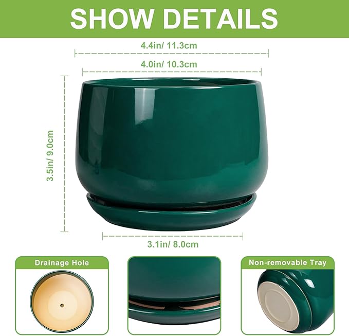 G EPGardening 4 inch Plant Pots - Small Ceramic Planter with Drainage Hole & Tray, Succulent Pots Indoor Outdoor, Round Modern Planter, Decorative Flower Pot, Desk Decor, Gifts for Plant Lover, Green