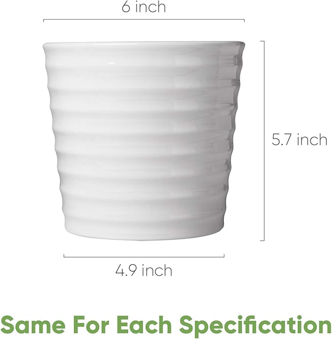 Brajttt Flower Pots,6 Inch Succulent Pots with Drinage,Indoor Round Planter Pots with Saucer,White Cactus Planters with Hole,Outdoor Graden Pots 4 Pack