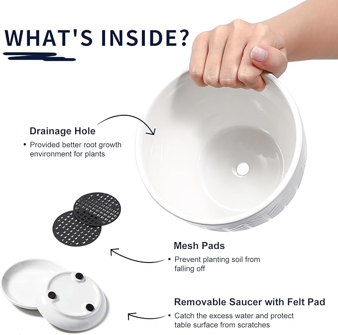 Sureasy Ceramic Indoor Plant Pots - 5.6 Inch Flower Pots for Plants with Drainage Hole and Saucer, Embossed Planter for Succulents, Orchid, Cactus, Indoor Home Decor, Set of 4, White