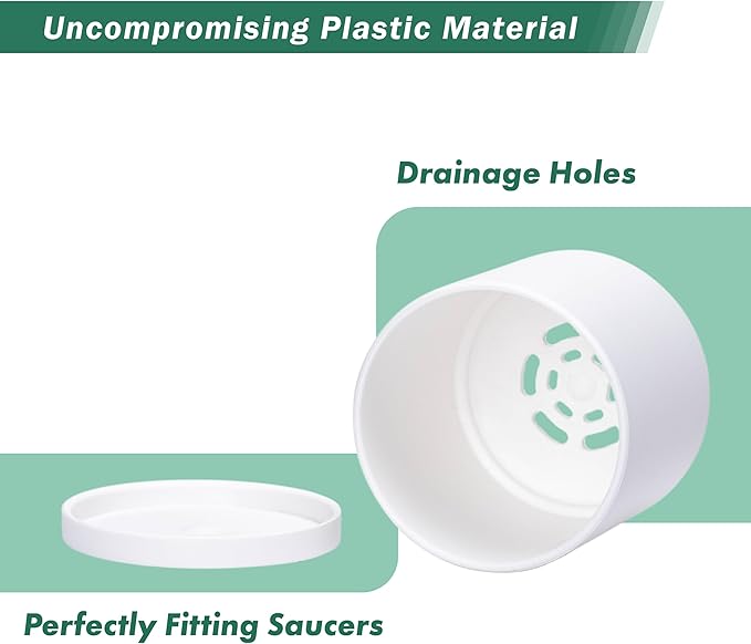 D'vine Dev 12 Pack 3 Inch Mini Plastic Plant Pots, Small Garden Planters for Plant with Drainage Holes and Saucers, White Color, 74-Z-C-4