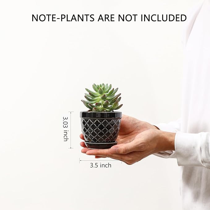 Sureasy Succulent Pots, 3.5 Inch Flower Pots for Indoor Plants, Small Plant Pots with Saucer & Drainage, Decorative Ceramic Planters for Succulent, Cactus, Set of 4, Black