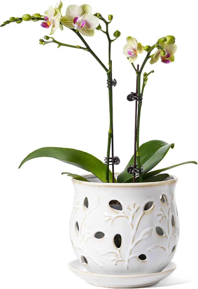 LE TAUCI Ceramic Orchid Pot, 6.5 Inch Orchid Pots with Holes, Orchid Planter for Repotting, Indoor Flower Plant Pot with Drainage and Saucer, Arctic White