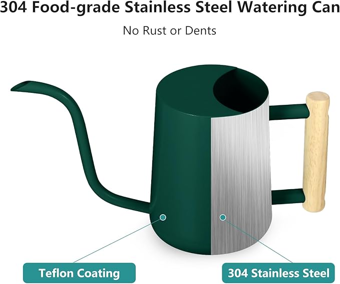 Watering Can Indoor Plants, 35oz Small Watering Can Indoor Stainless Steel Metal Watering Can Modern Decorative Watering Pot with Long Spout for Indoor House Plant Bonsai Garden Flowers (Alpinegreen)