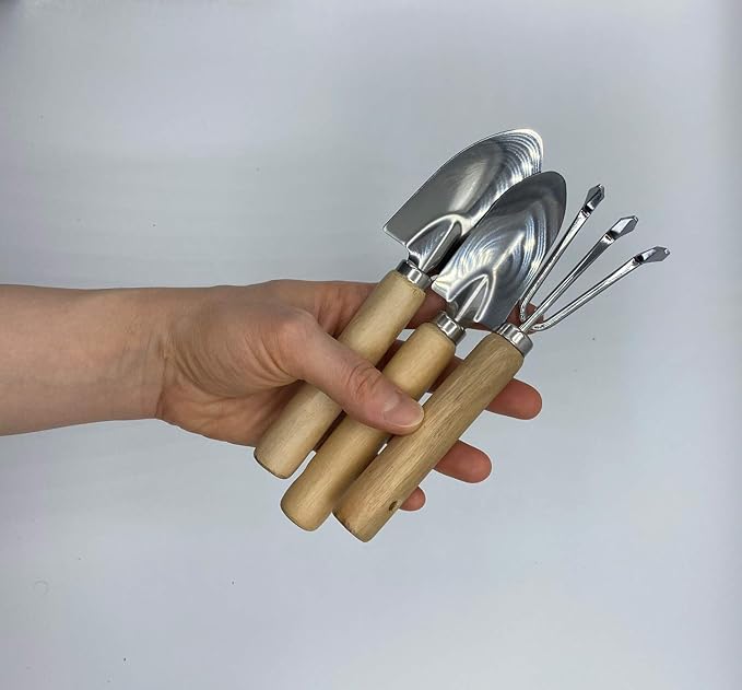 RyKing Small Garden Tool Set, 8 Piece Gardening Balcony Mini Kit Bag, Trowel Transplanter Hand Rake Pruner Snips Shovel Gloves Watering Spray, Stainless Steel Wooden Handles, Gift for Woman Men Kids