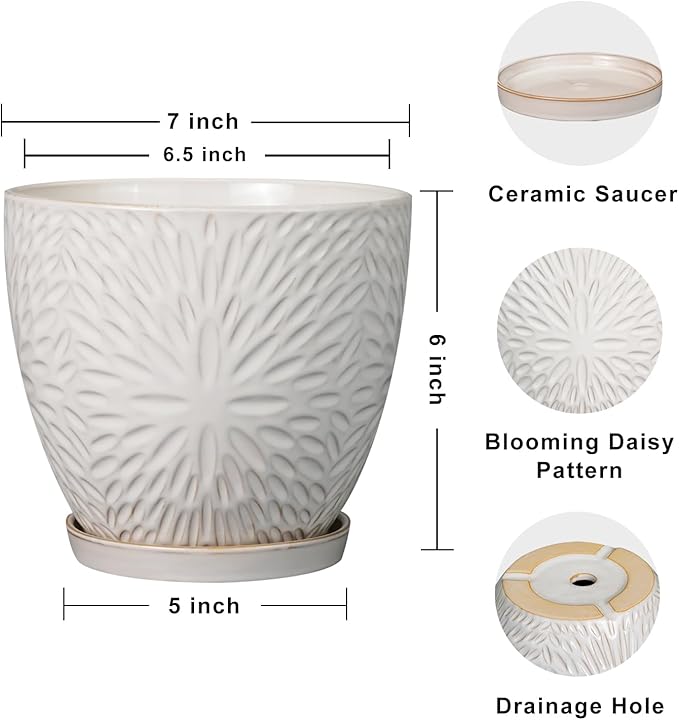 G EPGardening 6 Inch Plant Pot for Indoor Plants Outdoor Round Ceramic Planter Decorative Flower Pot with Drainage Hole and Saucer White