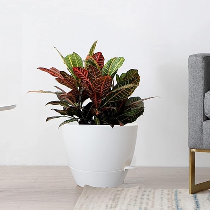 Large Self Watering Pots, 12/10/9 Plastic Planters with High Drainage Holes and Deep Reservoir for Indoor Outdoor Garden Plants and Flowers, White